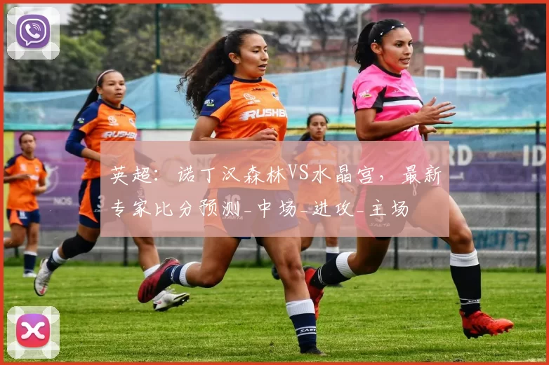 英超：诺丁汉森林VS水晶宫，最新专家比分预测_中场_进攻_主场