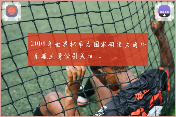2008年世界杯举办国家确定为南非 东道主身份引关注_1