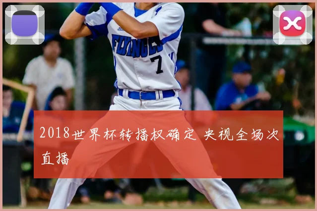 2018世界杯转播权确定 央视全场次直播