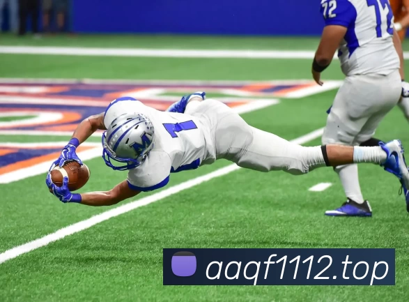 开云(中国)Kaiyun·官方网站 - 登录入口发展历程