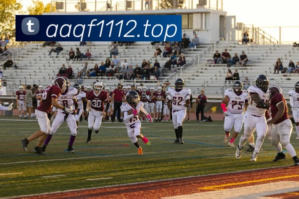 开云(中国)Kaiyun·官方网站 - 登录入口服务体系